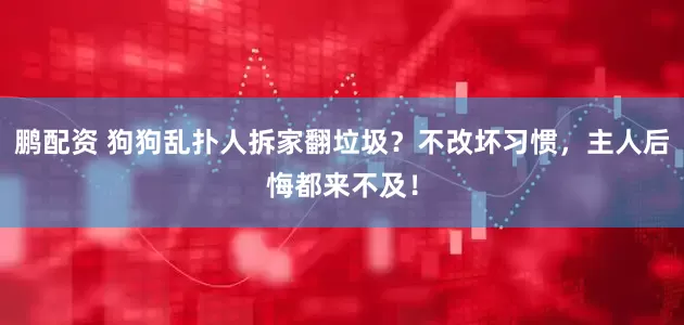 鹏配资 狗狗乱扑人拆家翻垃圾？不改坏习惯，主人后悔都来不及！