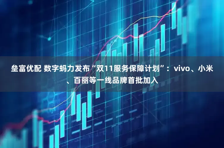 垒富优配 数字蚂力发布“双11服务保障计划”：vivo、小米、百丽等一线品牌首批加入