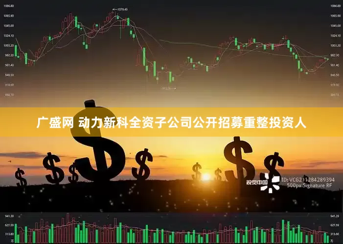 广盛网 动力新科全资子公司公开招募重整投资人