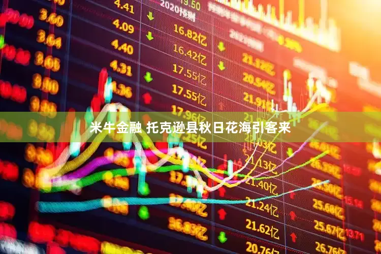 米牛金融 托克逊县秋日花海引客来