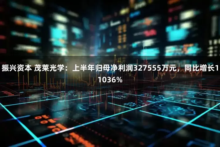 振兴资本 茂莱光学：上半年归母净利润327555万元，同比增长11036%