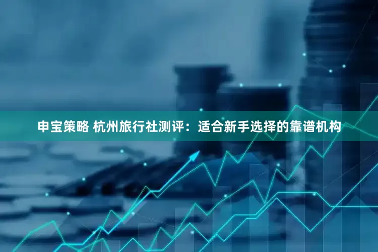 申宝策略 杭州旅行社测评：适合新手选择的靠谱机构